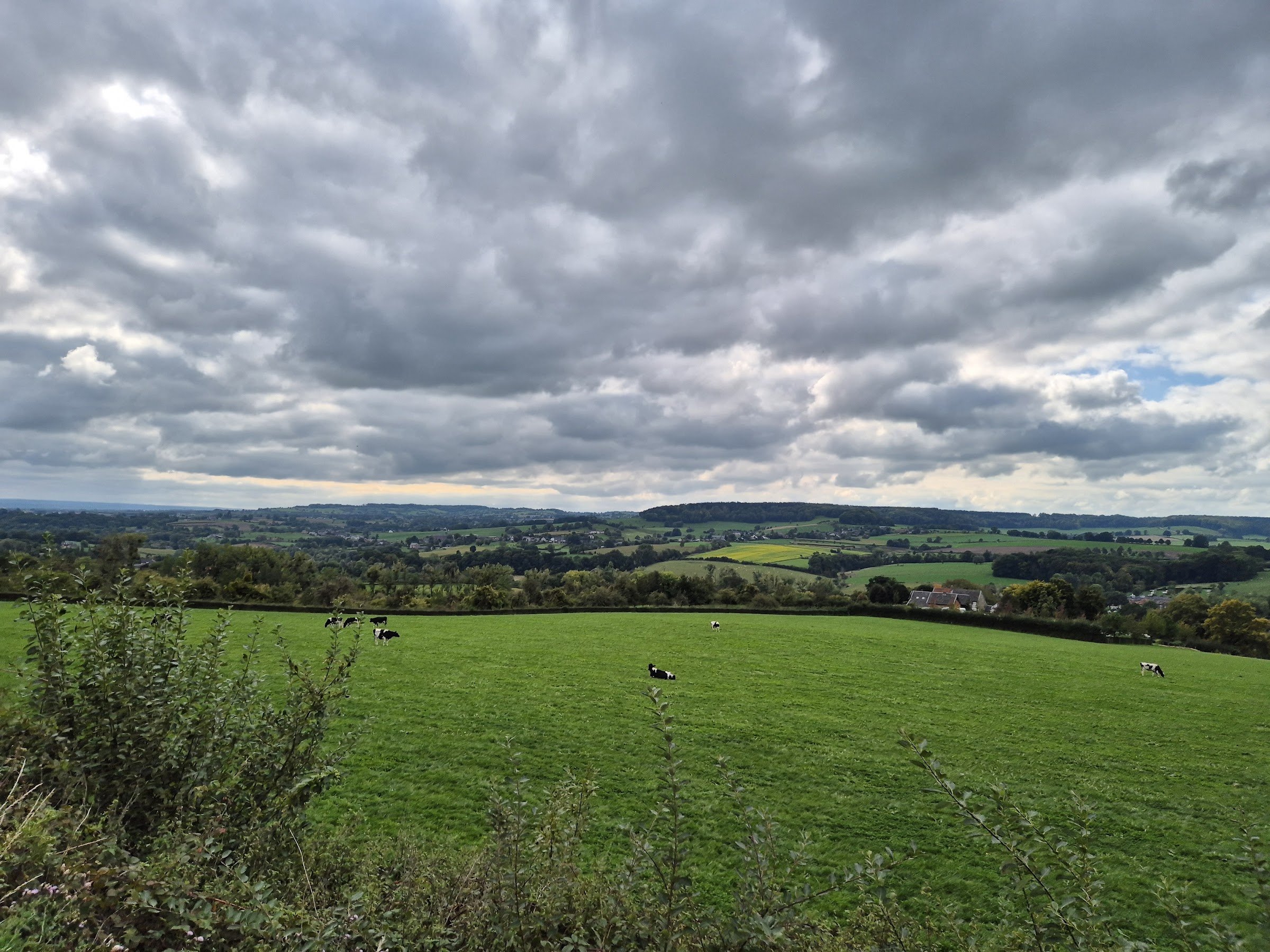 Restaurant Buitenlust